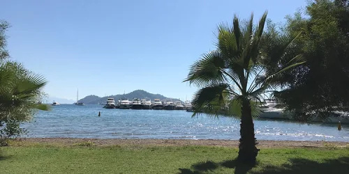 Turkey