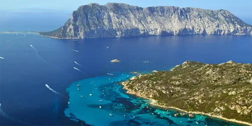 Bonifacio