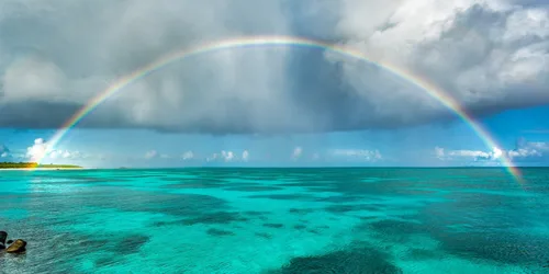 Marine environment