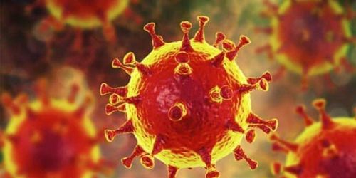 Coronavirus Update