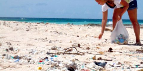 Clean up our beaches: Bag a Beer