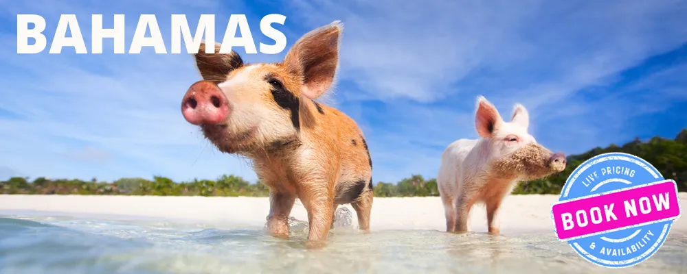 Bahamas Yacht Charter / Bahamas Catamaran Charter