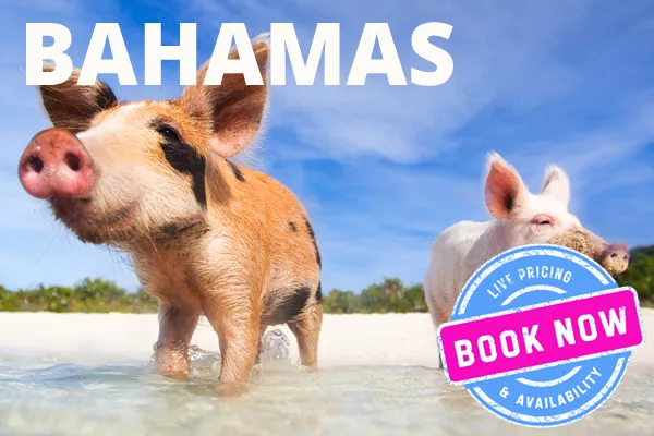 Bahamas Yacht Charter / Bahamas Catamaran Charter